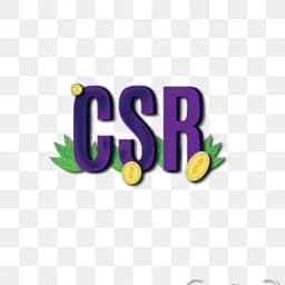 CSR Performance