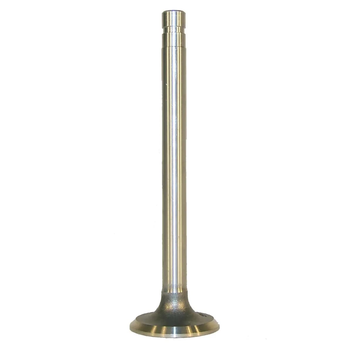 1981-1983 Cherokee SJ w/ 4.2L engine; .015in Oversize 1981-1983 CJ-5 CJ w/ 4.2L engine; .015in Oversize 1981-1986 CJ-7 CJ w/ 4.2L engine; .015in Oversize 1981-1986 CJ-8 CJ w/ 4.2L engine; .015in Oversize 1987-1990 Wrangler YJ w/ 4.2L engine; .015in Ov