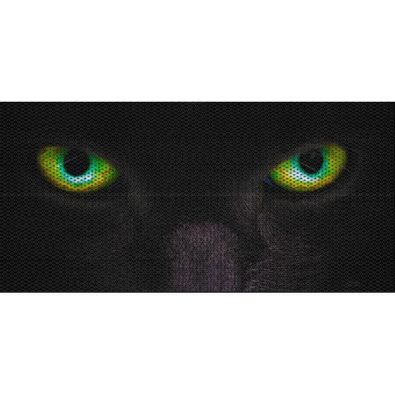 Here Kitty Kitty