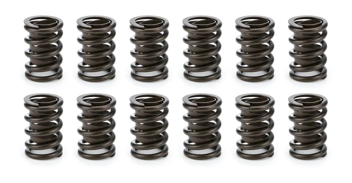 Valve Spring Set