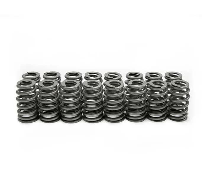 LS6 Beehive Springs .560 Lift (16)