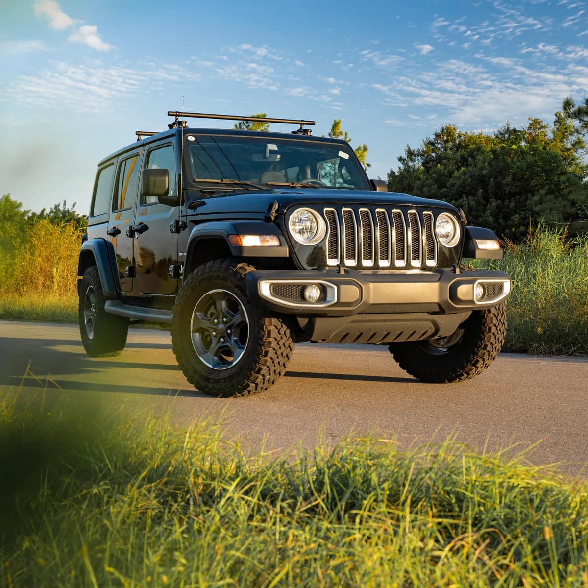 Monkey Bars R/R 60' (Ridge Ready)