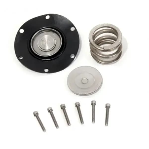 Bbk Fuel Pressure Regulator Rebuild Kit For Bbk 1706, 1707 Only