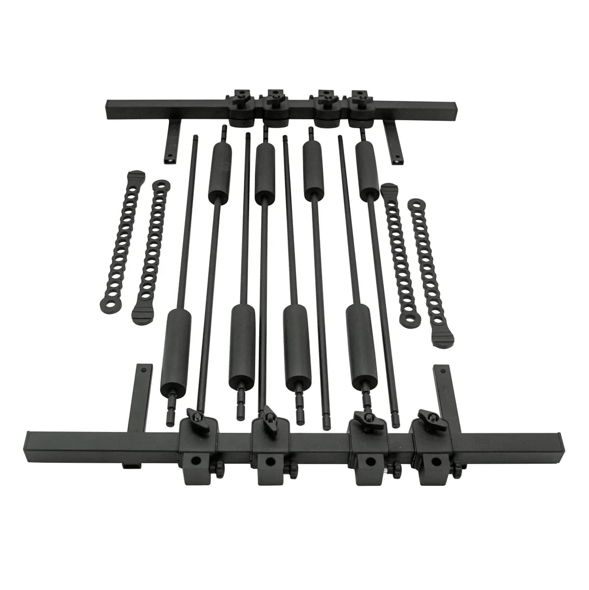 Two Ebike Mount Blackbox Pro & Gearcage