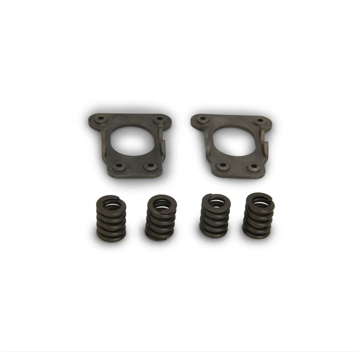 Eaton Posi® Service Kit; 800 Springs; Plates;