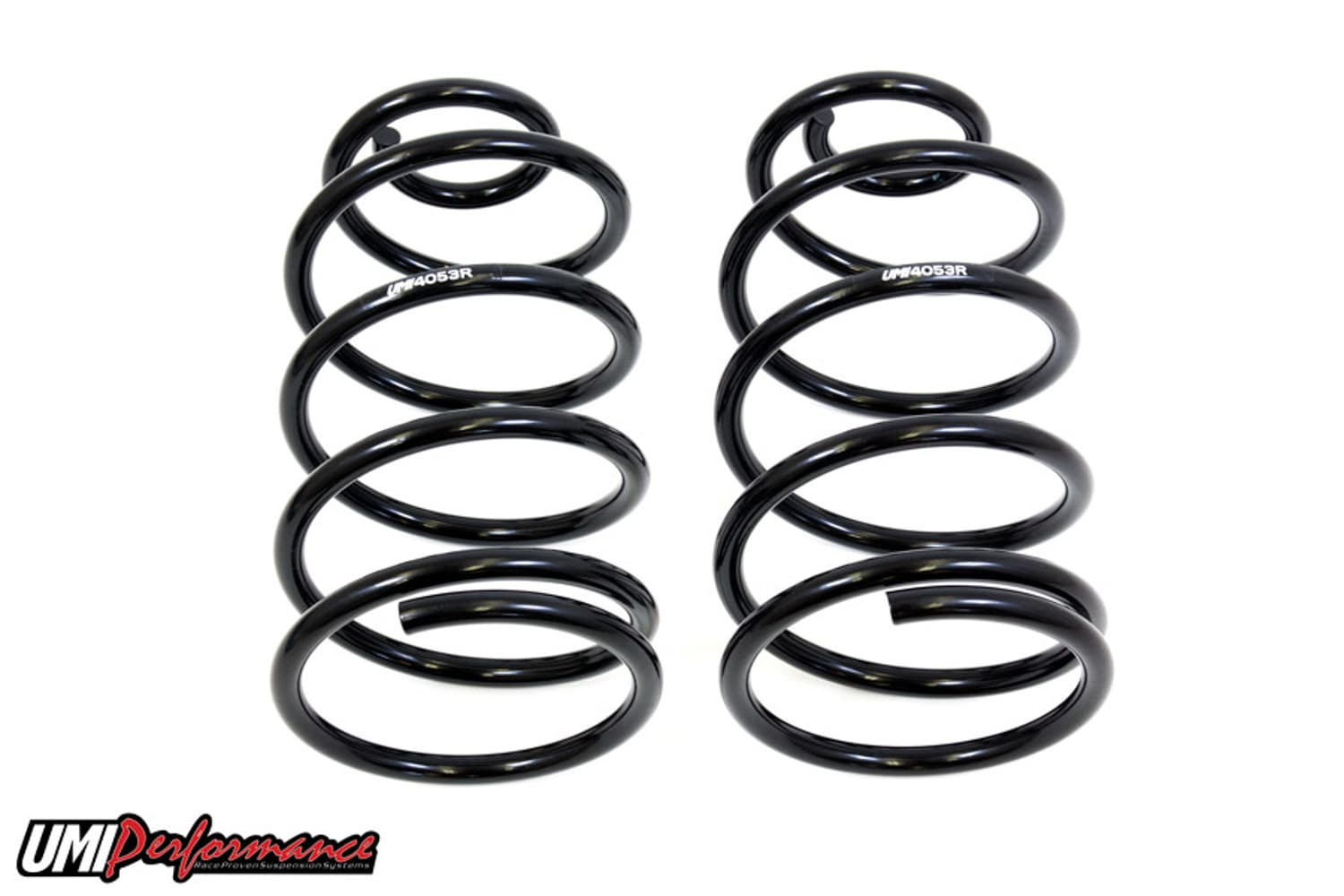 6466 GM ABODY FACTORY HEIGHT SPRINGS REAR BLACK