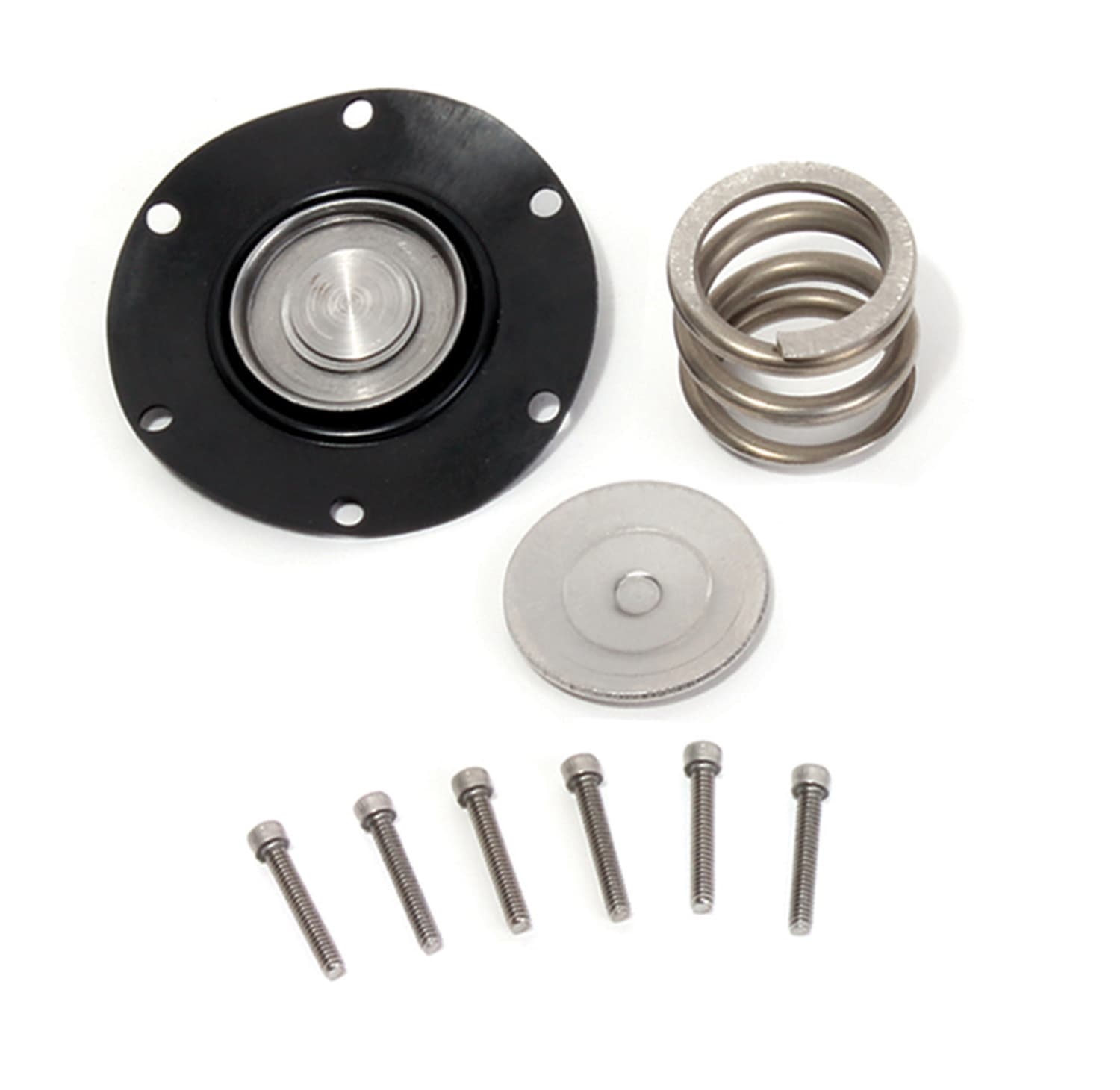Bbk Fuel Pressure Regulator Rebuild Kit For Bbk 1706, 1707 Only product image