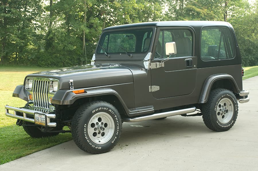 198795 JEEP WRANGLER LIGHT GUARD SET (4 PIECES) product image